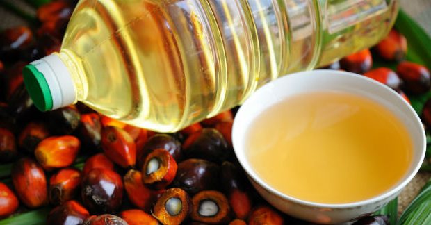 Quais os benefícios do óleo de palma?